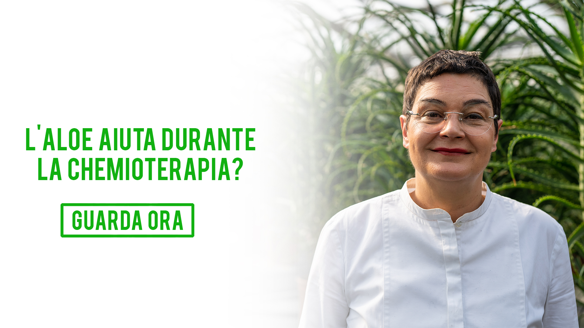 L’aloe aiuta durante la chemioterapia e radioterapia?